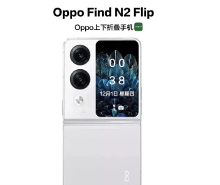 Oppo Find N2 Flip看起来像一款轻巧的时尚照相手机