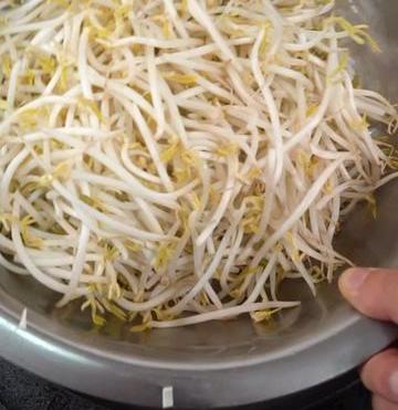 酸辣豆芽菜的做法大全窍门（家常菜酸辣豆芽~精彩美食、持续更新~）