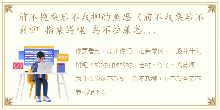 前不槐桑后不栽柳的意思（前不栽桑后不栽柳 指桑骂槐 鸟不拉屎怎么来的）