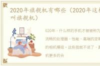 2020年旗舰机有哪些（2020年这样的才配叫旗舰机）