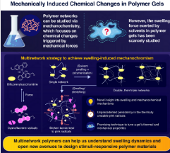 从机械化学和溶剂溶胀的角度研究聚合物凝胶