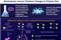 从机械化学和溶剂溶胀的角度研究聚合物凝胶
