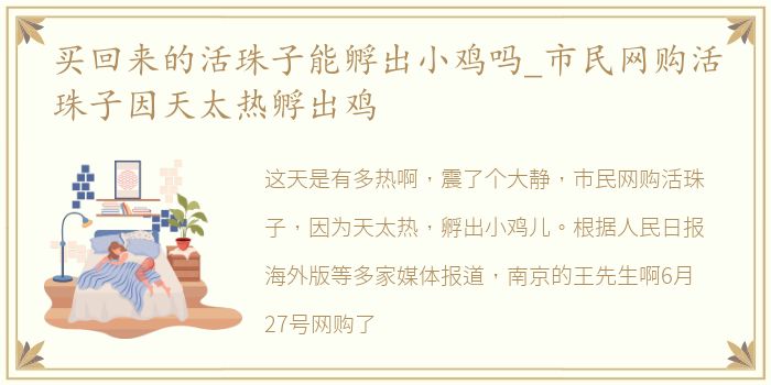 买回来的活珠子能孵出小鸡吗_市民网购活珠子因天太热孵出鸡