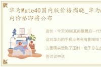 华为Mate40国内版价格揭晓_华为mate40国内价格即将公布