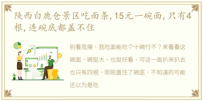 陕西白鹿仓景区吃面条,15元一碗面,只有4根,连碗底都盖不住