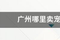 10 广州最大的狗市？ 广州哪里有卖宠物