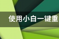 小白一键重装系统英文名？ 小白一键重装系统