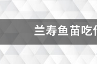 小金龙吃什么长的快？ 鱼苗吃什么长得快