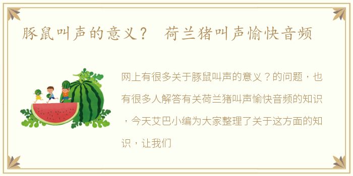 豚鼠叫声的意义？ 荷兰猪叫声愉快音频