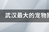 岳阳哪里有宠物市场？ 宠物狗批发市场在哪里