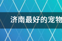 济南最好的宠物医院是哪一家？ 济南哪家宠物医院口碑最好