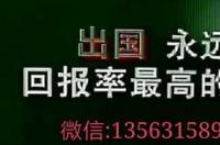 2021新加坡打工真实收入？ 新加坡什么工种最挣钱