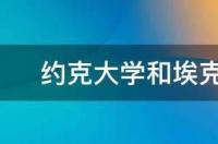 英国大学简称？ 埃克塞特大学和约克大学哪个好