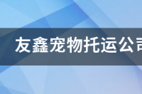 活体动物怎么快递？ 宠物托运公司排行