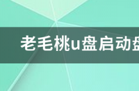 电视启动盘制作？ u盘启动盘制作