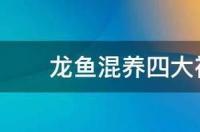 魟鱼龙鱼最佳混养方案？ 龙鱼混养