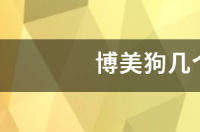 博美犬幼崽什么时候可以断奶？ 博美犬几个月不再长了