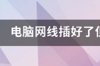 为什么电脑插上网线不能上网 电脑网线插好了但是连不上网