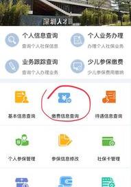 深圳12333社保查询网？ 深圳社保查询入口