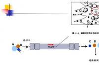 凝胶色谱法的简要介绍 凝胶色谱