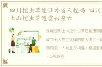 四川挖虫草能让外省人挖吗 四川七名村民上山挖虫草遭雷击身亡