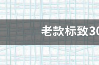 老款标致308隐藏功能？ 标致308老款