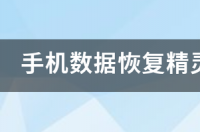 求分享数据恢复精灵完美破解版下载资源，跪求资源 数据恢复精灵