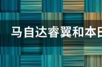 11年马自达睿翼20缺点和优点？ 马自达睿翼哪一年的好