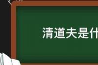 清道夫是什么鱼能吃吗 清道夫是什么鱼种能吃吗