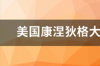 2017年康涅狄格大学排名是多少？ 康涅狄格大学排名2022