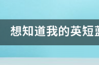 蓝白英短为什么不建议养？ 英短蓝白猫怎么养