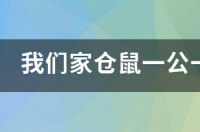 仓鼠一公一母为什么不睡在一起呢?我好难过啊？是不是一个不喜欢一个啊？我该怎么做呢？他们我都好喜欢啊！ 仓鼠一公一母趴在一起