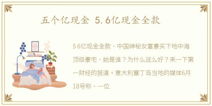 五个亿现金 5.6亿现金全款