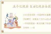 五个亿现金 5.6亿现金全款