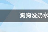 狗狗生育完了吃什么东西下奶呢？ 狗吃什么下奶最快最多