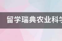 瑞典留学申请条件是什么？ 瑞典留学申请条件