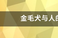 狗年年龄对照表2020年？ 狗的年龄和人的年龄对照表