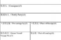 海运提单的抬头类型有哪几种 海运提单的种类