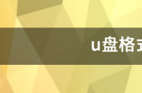 u盘无盘符怎么低级格式化？ u盘格式化工具