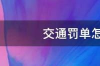 电子眼拍的违章网上怎么缴费？ 罚单怎么网上缴费