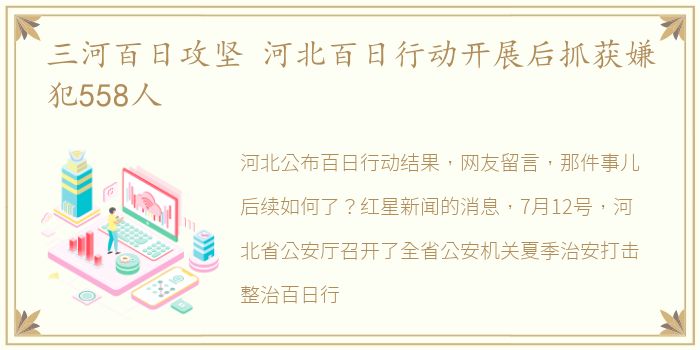 三河百日攻坚 河北百日行动开展后抓获嫌犯558人