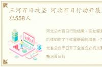 三河百日攻坚 河北百日行动开展后抓获嫌犯558人