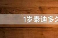 新生小狗多少天可以送人？ 狗狗多久会适应新主人