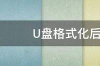 u盘做过pe怎么恢复？ u盘格式化后怎么恢复数据