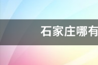 石家庄哪个花鸟鱼虫市场好？ 石家庄哪有宠物市场