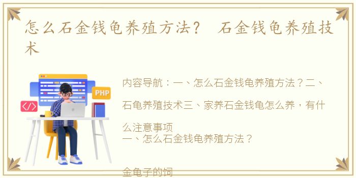 怎么石金钱龟养殖方法？ 石金钱龟养殖技术