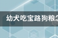 幼犬吃宝路狗粮怎么样？刚抱回来的德牧，听说食量大，想给它买这个狗粮品牌~ 宝路狗粮如何