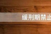 厉行禁止雷厉风行是什么意思？ 禁止令的执行机关