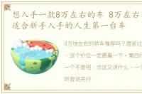 想入手一款8万左右的车 8万左右省心好用,适合新手入手的人生第一台车