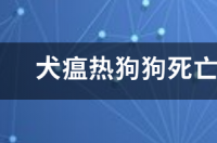 犬瘟热狗狗死亡后多久可以养狗 犬瘟热多久死亡